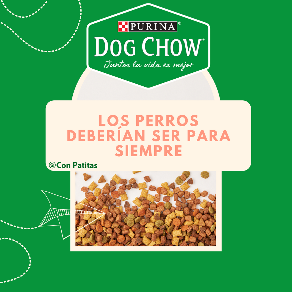 Alimento Dog Chow para mascotas perros y a domicilio, 8kg y 4kg sin recargo y envío gratis