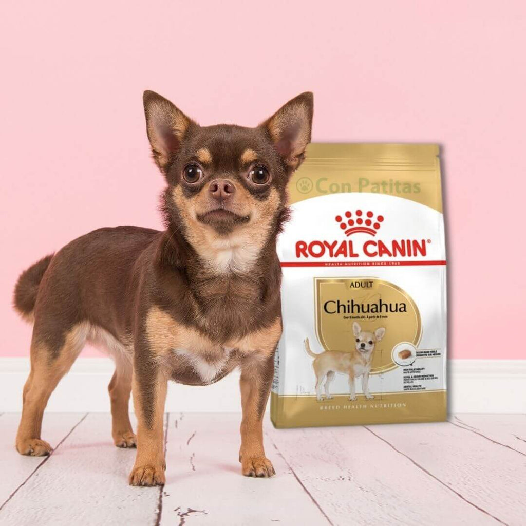 Royal Canin Chihuahua adult