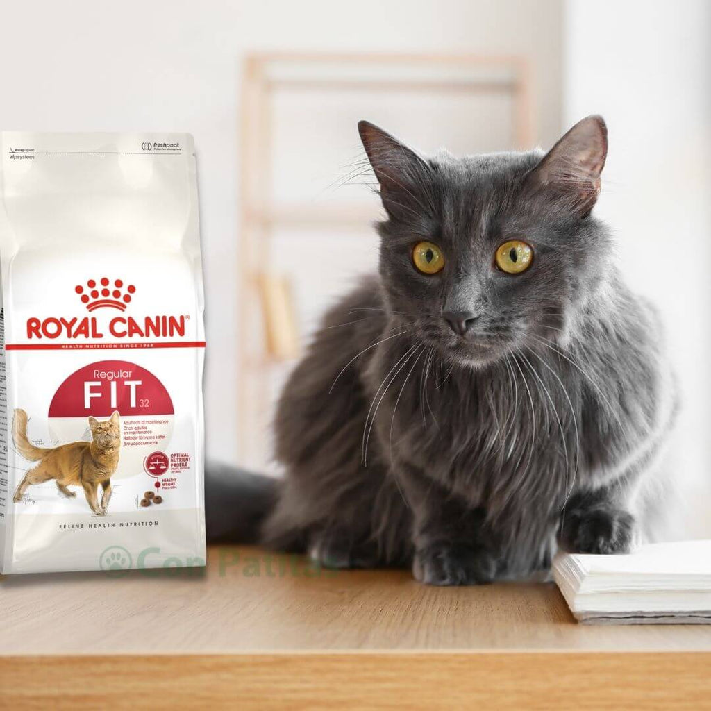 Royal Canin fit 32 gato
