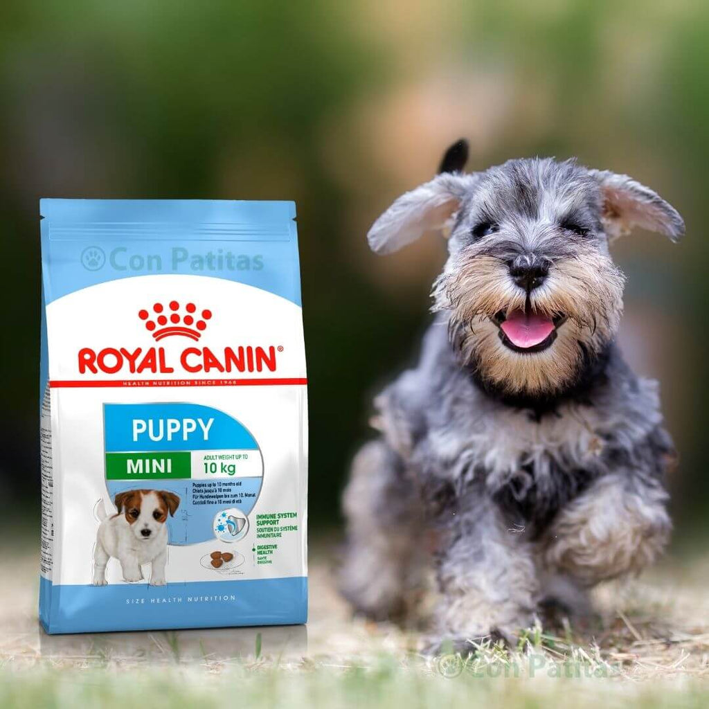 Royal Canin mini puppy