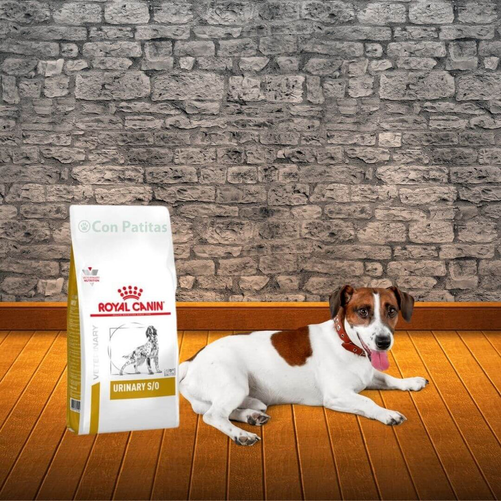 Royal Canin urinary canino