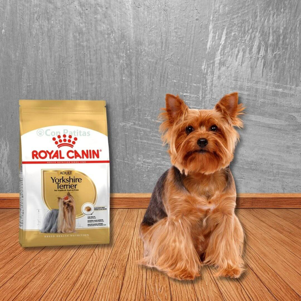 Royal Canin Yorkshire Terrier adult