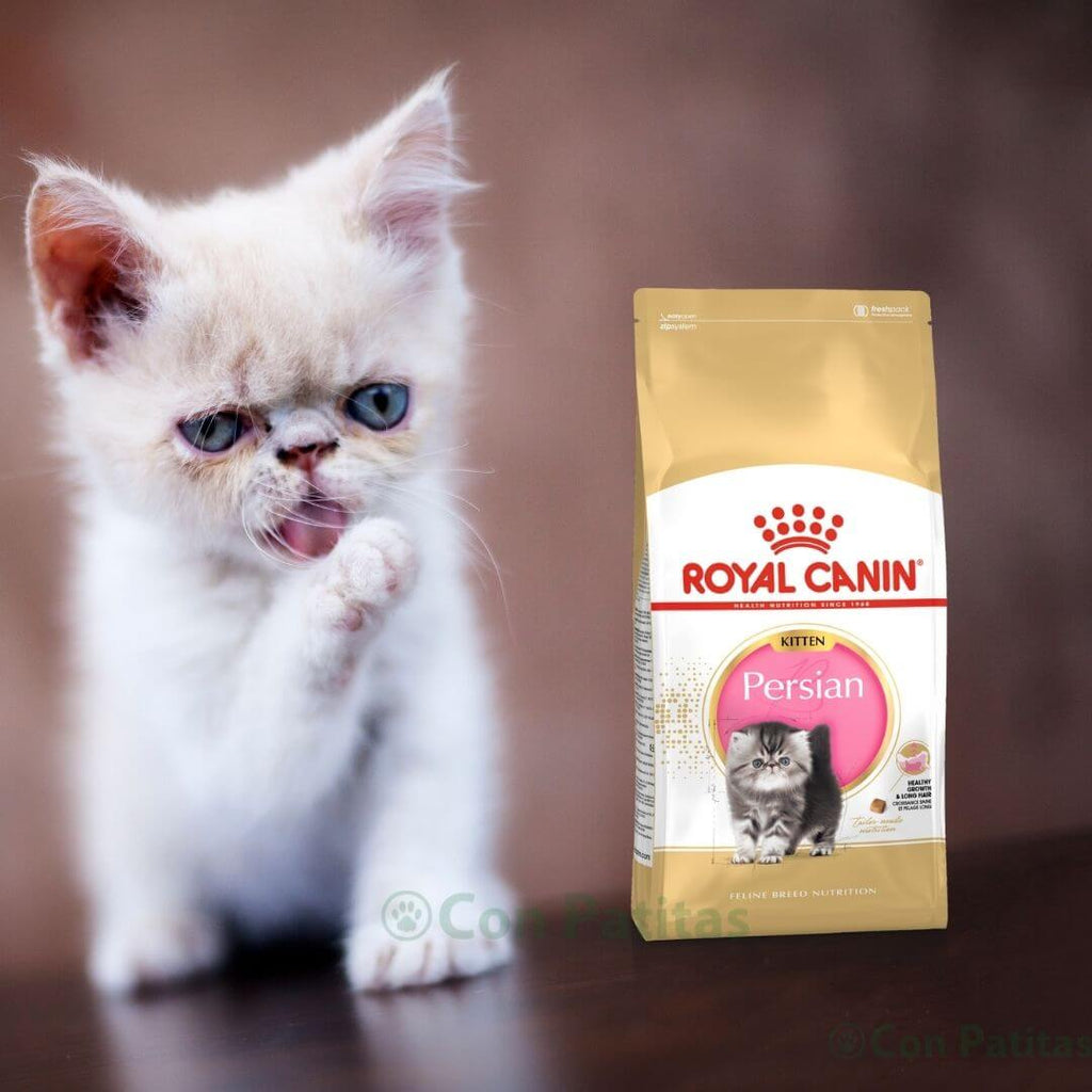 Royal Canin Persas gatito