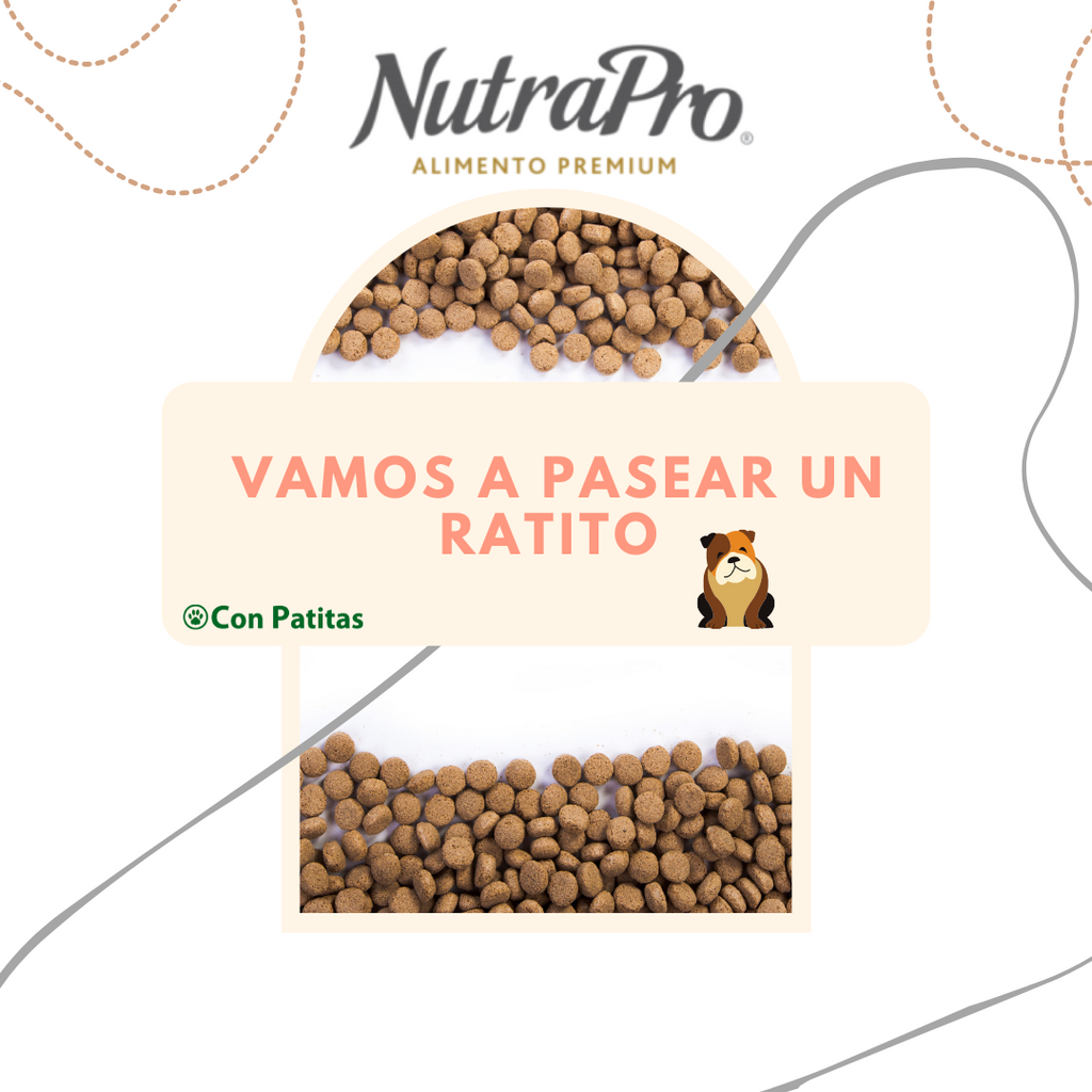 Alimento para perro Nutra Pro 8kg para adultos y cachorros a domicilio en la ciudad Quito y Guayaquil, envío gratis