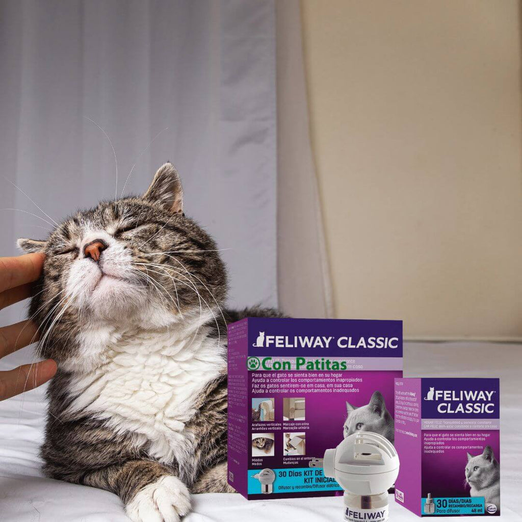 Feliway-difusor-recarga