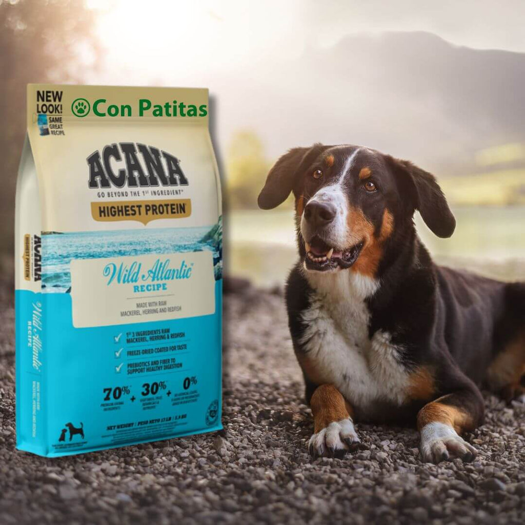 Acana de pescado Atlantic para perros adultos