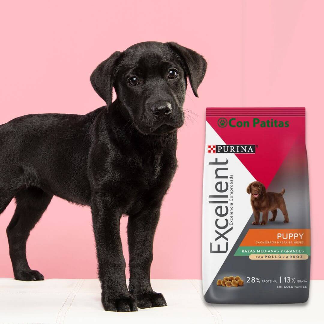 Excellent Purina Cachorros Razas Medianas y Grandes