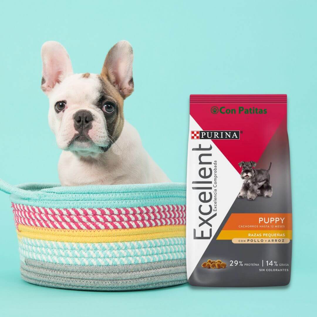 Excellent Purina Cachorros Razas Pequeñas y Minis – Con Patitas