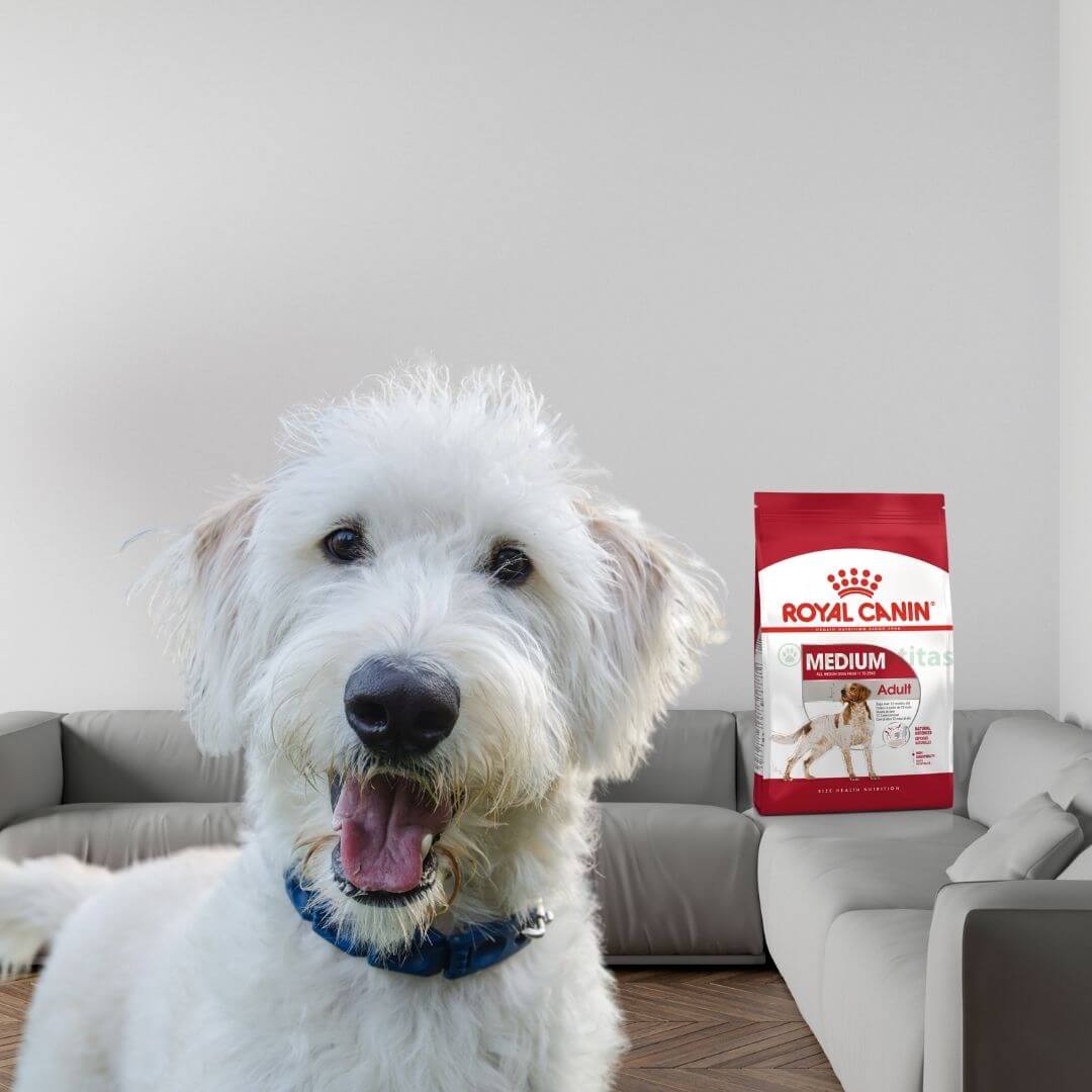 Royal Canin medium adult