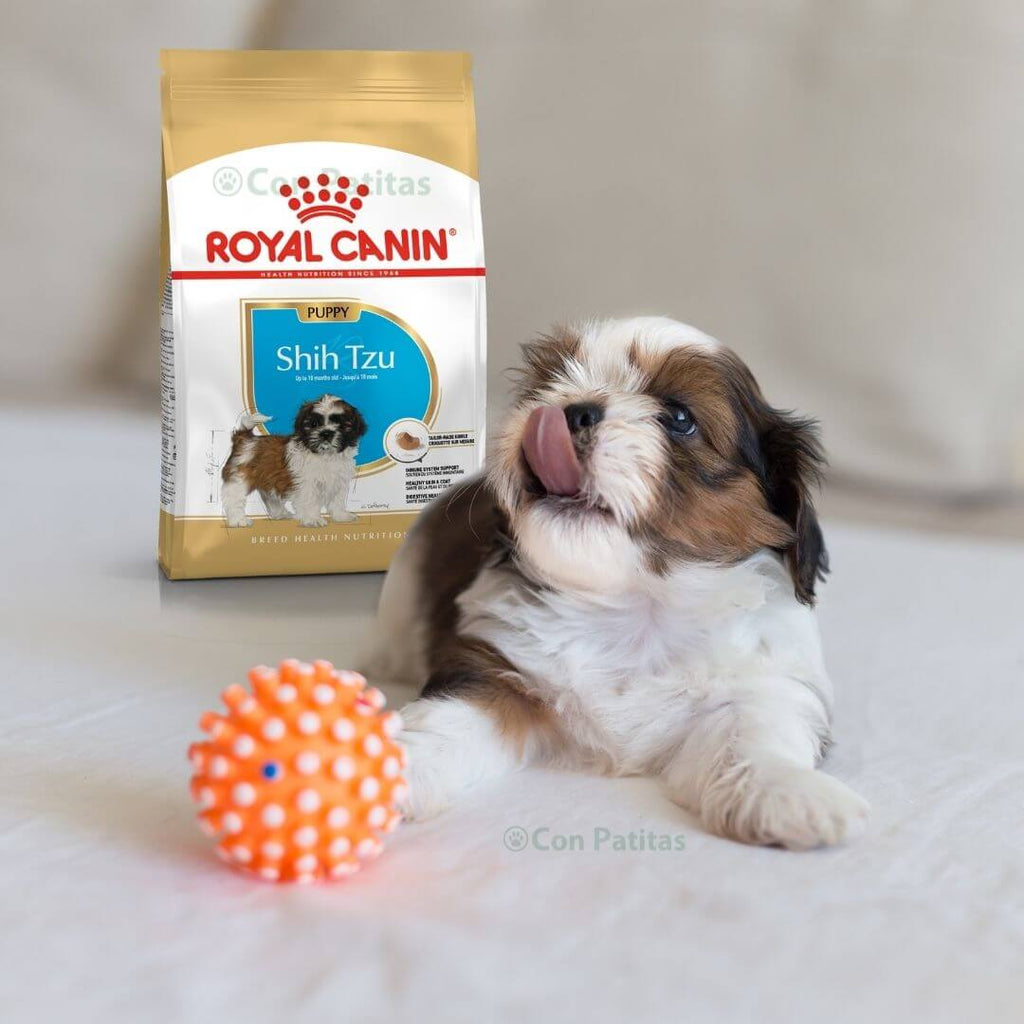 Royal Canin Shih Tzu puppy