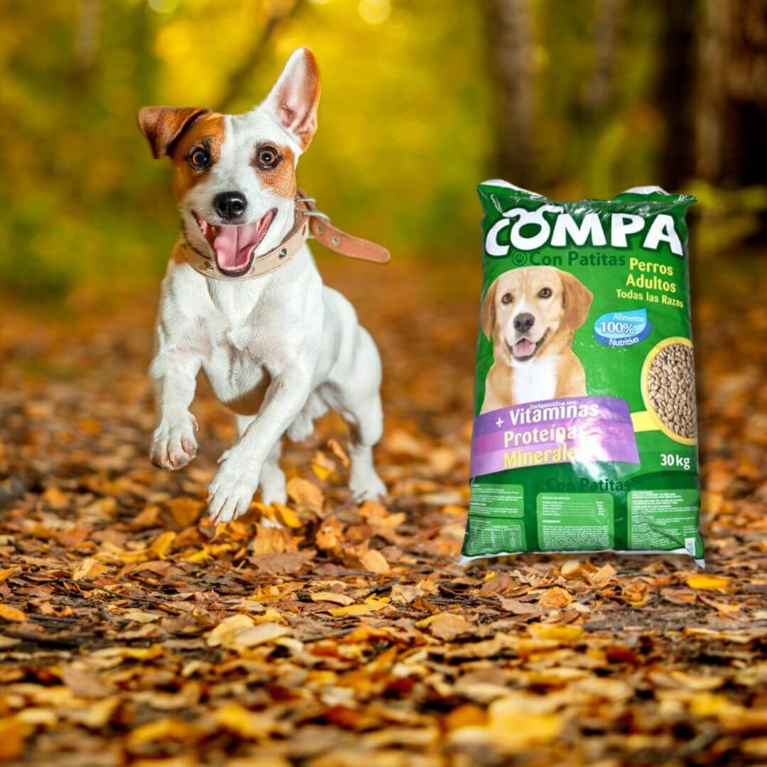 Compa Payo Compa Adultos Ecuador – Con Patitas