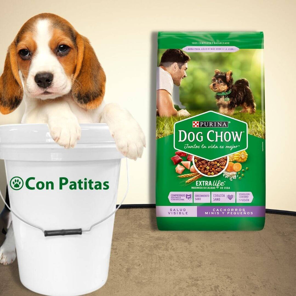 Dog Chow cachorro raza peque–a comida de perro