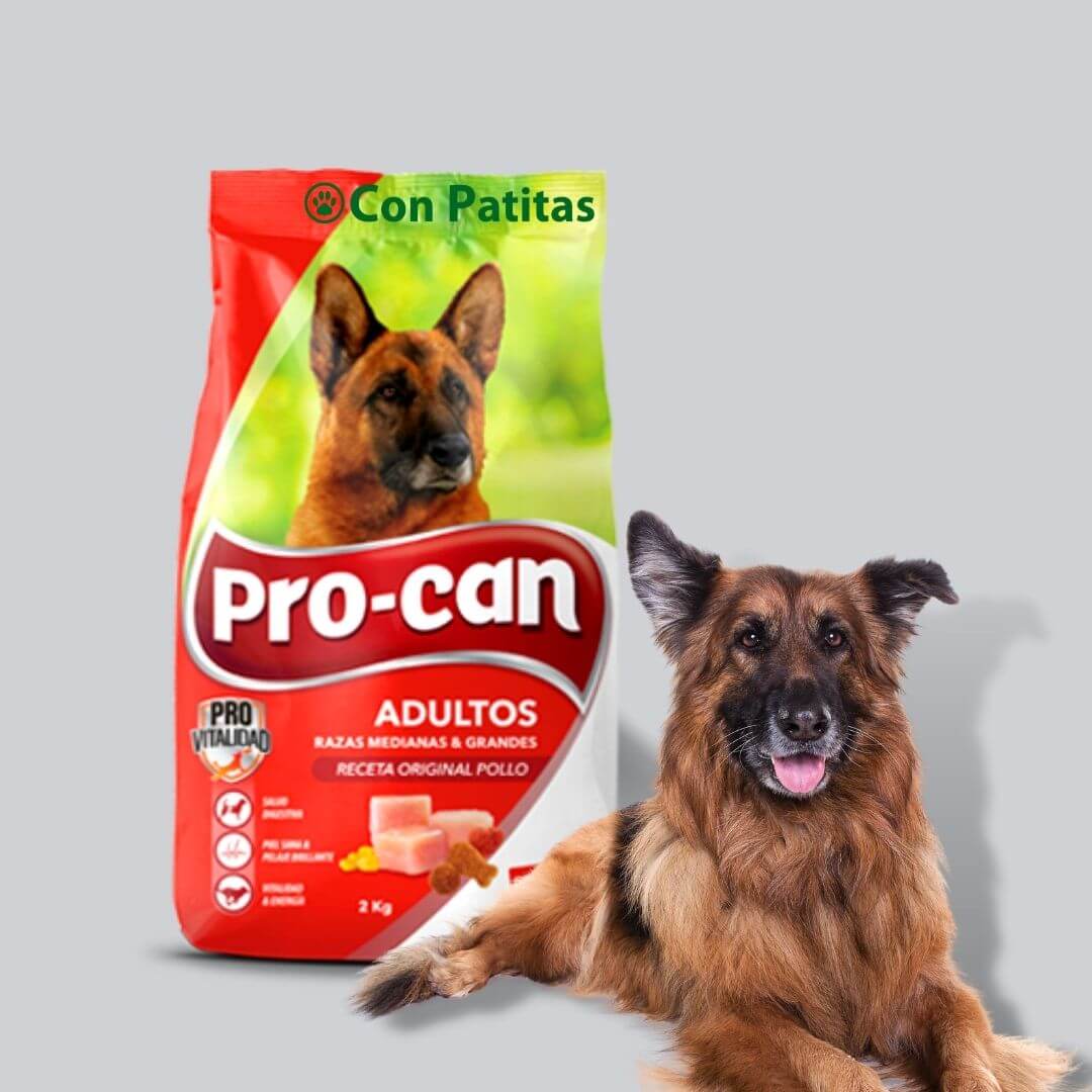 Pro Can a domicilio Adultos medianas y grandes para perro original ...