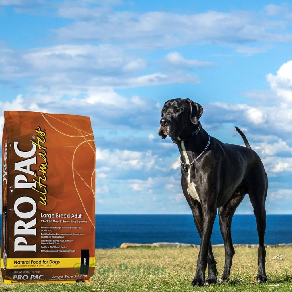 Pro Pac Large Breed Adult Chiken & Brown Rice