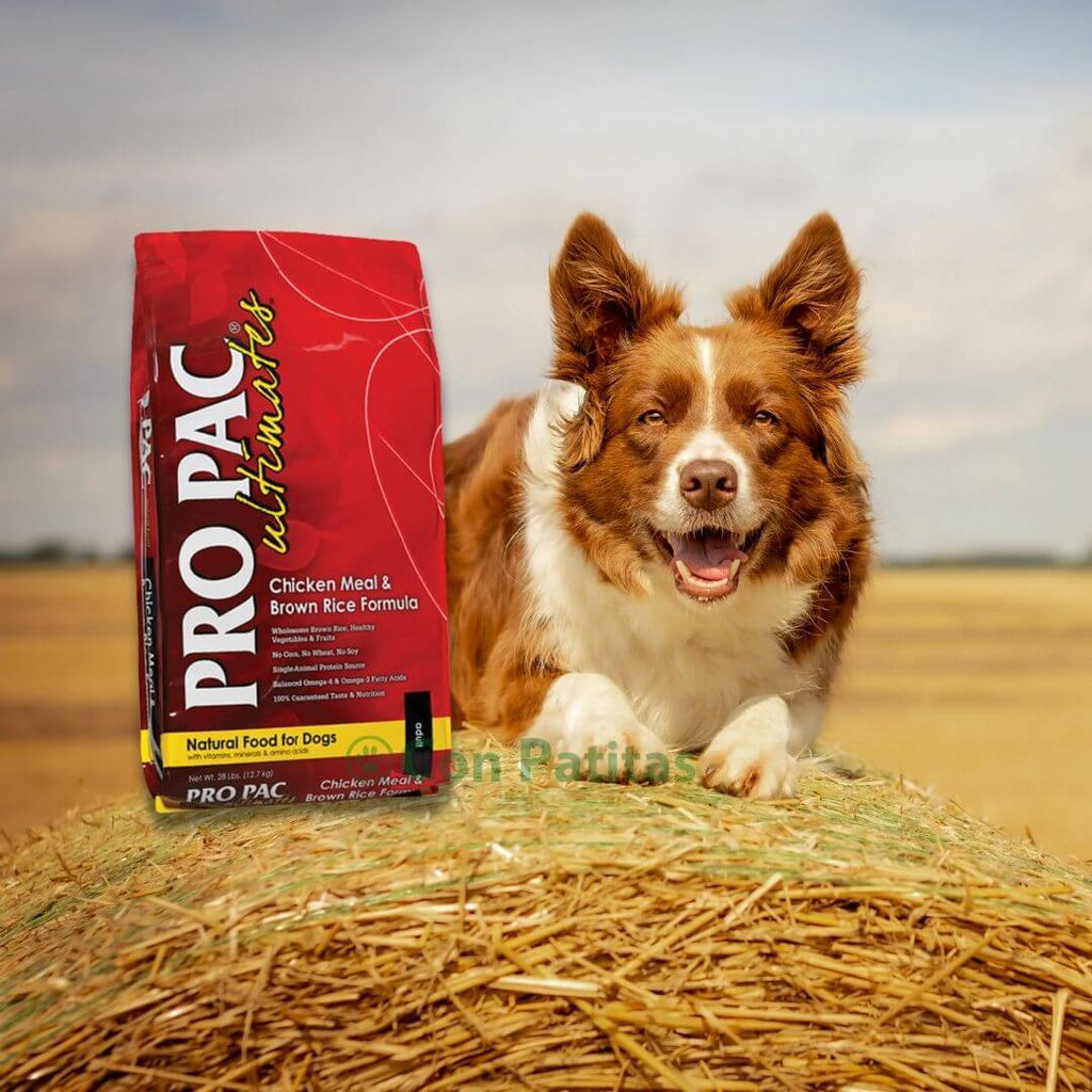 Pro Pac Chicken Meal & Brown Rice Formula