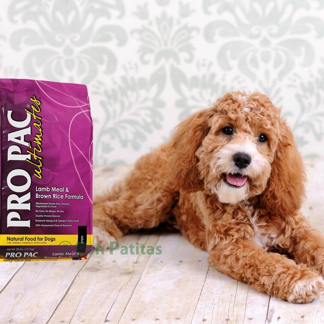 Pro Pac Cordero y Arroz super premium – Con Patitas