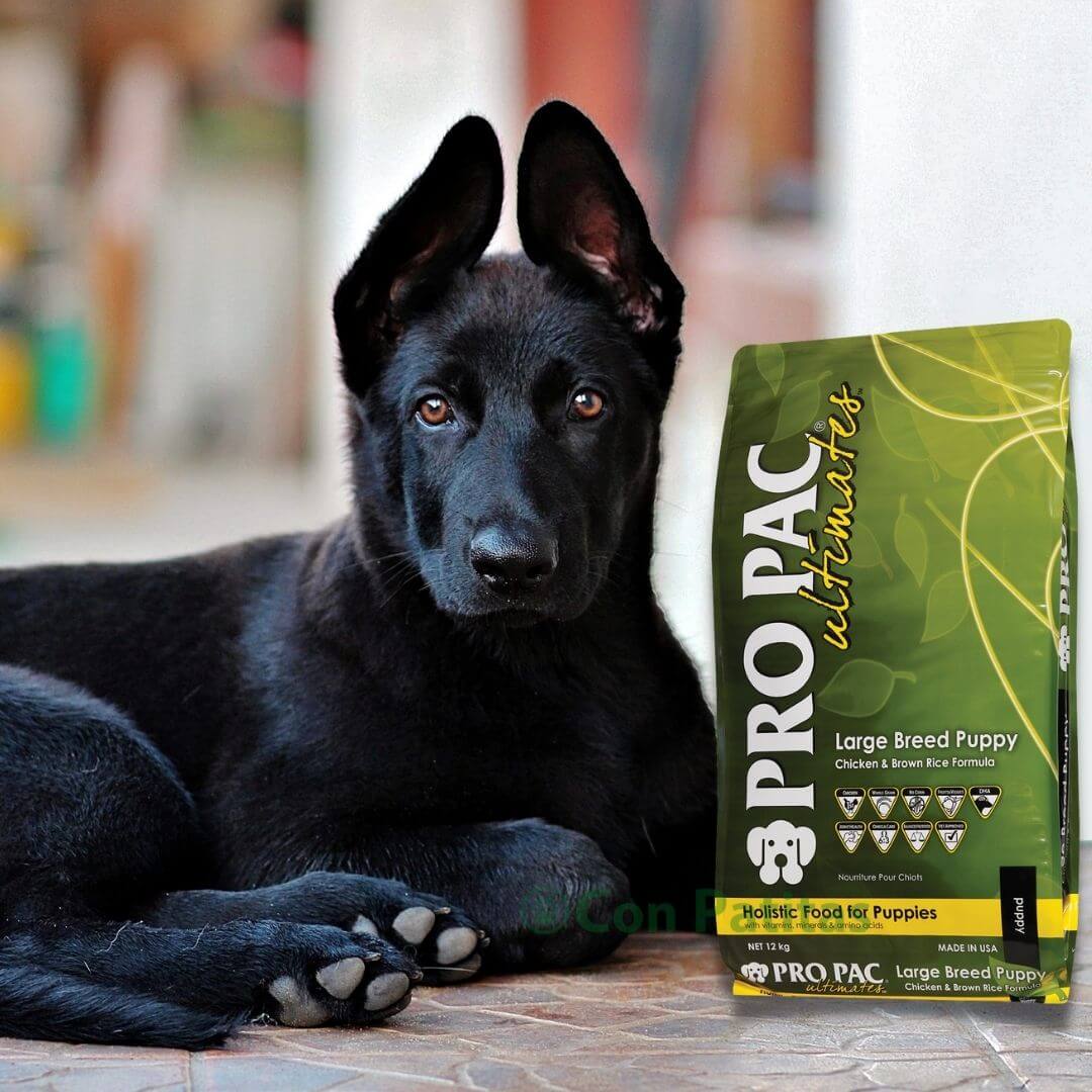 Pro Pac Super Premium adultos razas medianas y grandes – Con Patitas