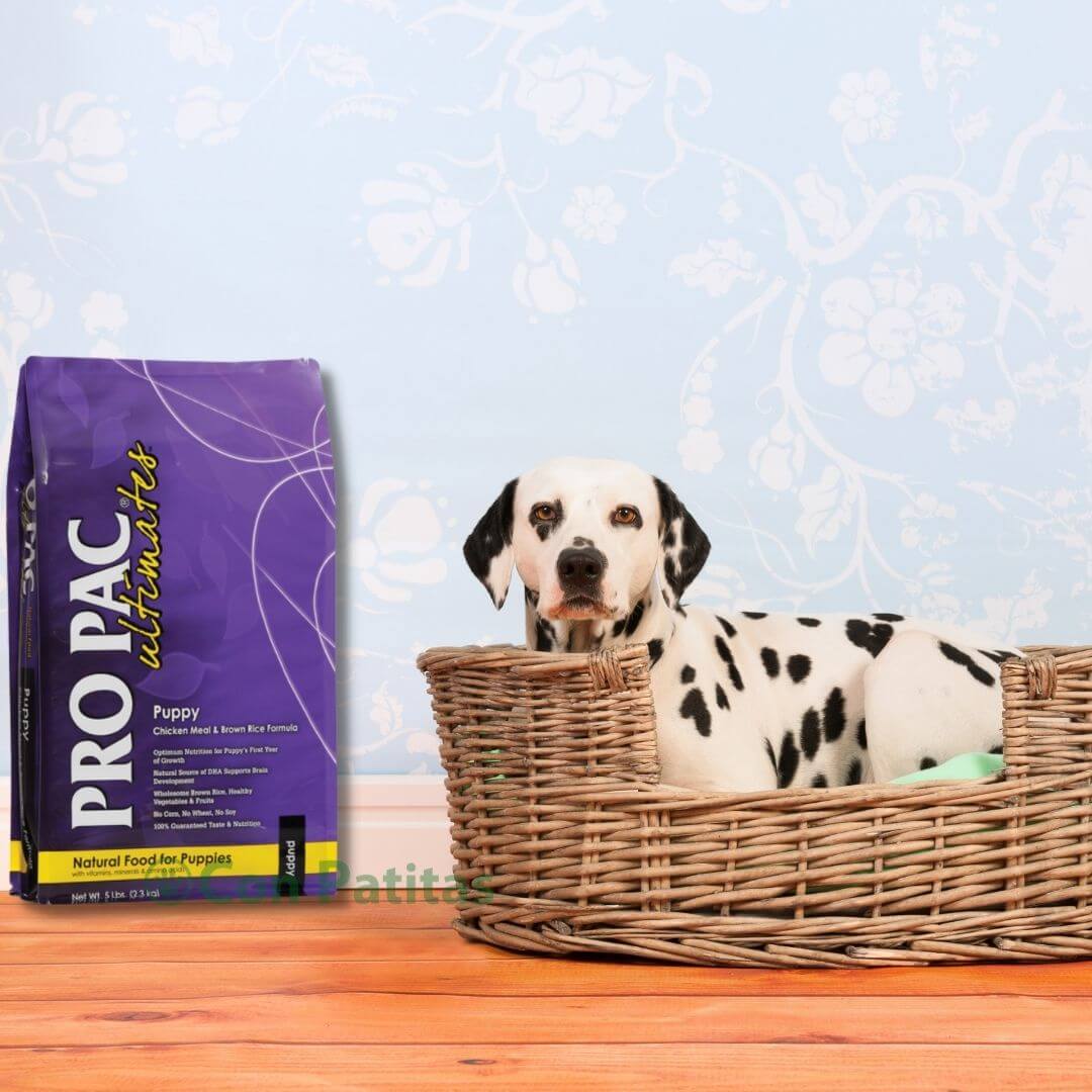 Pro Pac Puppy Chiken & Brown Rice – Con Patitas